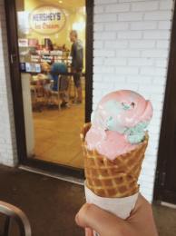 Cotton Candy ice cream from Hershey's